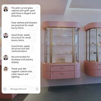 Vitrine à bijoux élégante murale en bois avec cadre en acier inoxydable pour boutique de détail