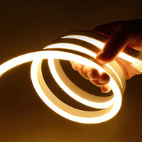 Lumières de Corde Néon Flexible LED 12V en Silicone 2025 SMD2835 120 LED/m Étanche 6*12mm, Bande Souple pour Aménagement Paysager IP65