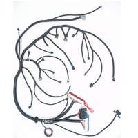 CNCH GM 6.0L Engine Wiring Harness Drive par câble-CNCH Custom After Market ECU Harnais Motec Fueltech Link X