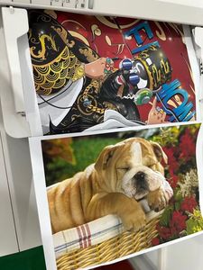 Utilisé pour la photocopieuse/imprimante/scanner couleur A3 C3530 30 ppm avec une résolution de numérisation de 600x600 dpi et une plage de zoom de 25% à 400% - Product Image 5