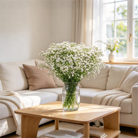 Bunga Baby's Breath Segar 2026, Batang Kuat 65-70cm, Kelopak Besar Segar, Daun Baby's Breath untuk Acara