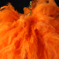 Boa en plumes d'autruche douces, plumes de poussin, plumes moelleuses, vente en gros pour fête, mariage, costume, décoration de scène burlesque