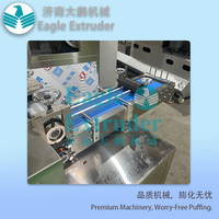 Machine à découper les aliments soufflés Jinan Eagle Food Machinery