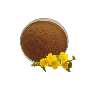 En Düşük Fiyatlı Sığırkuyruğu Yaprağı Tozu Ekstresi 20:1 HACCP Sertifikalı - Product Image 2