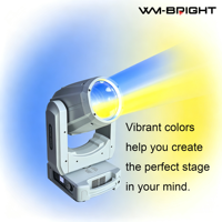 Projecteur Beam Mobile 295W Haute Performance avec Gobos Clairs et Couleurs Riches et Vibrantes pour DJ, Mariages et Petites Scènes