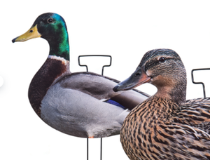 Señuelo de Caza de Patos Realista, Resistente a los Arañazos, Moderno, Ligero, Impermeable, Ecológico, Portátil, de Plástico, con Silueta de Campo - Product Image 6