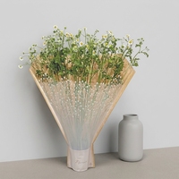 Pot de fleurs en plastique BOPP à mailles, design cœur, avec poignée Flexiloop, sérigraphié, personnalisable, recyclable, cadeau floral, facile à utiliser