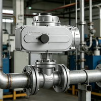 Actuador de Válvula Eléctrica de Giro Parcial a Prueba de Explosiones ATEX IECEX BT4 CT4 para Plantas de Energía