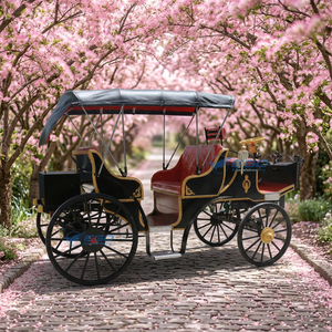 Nouvelle Conception, Style Moderne, Voiture Électrique Populaire Type Calèche, 4 Roues, Véhicule Électrique Royal de Type Victoria pour Visites Touristiques, à Vendre - Product Image 1