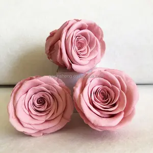 Оптовая продажа, консервированная Роза, консервированная Роза, голова 2 см, 3 см, 4 см, 5 см, 6 см, Вечные розы, консервированные цветы, поставщик