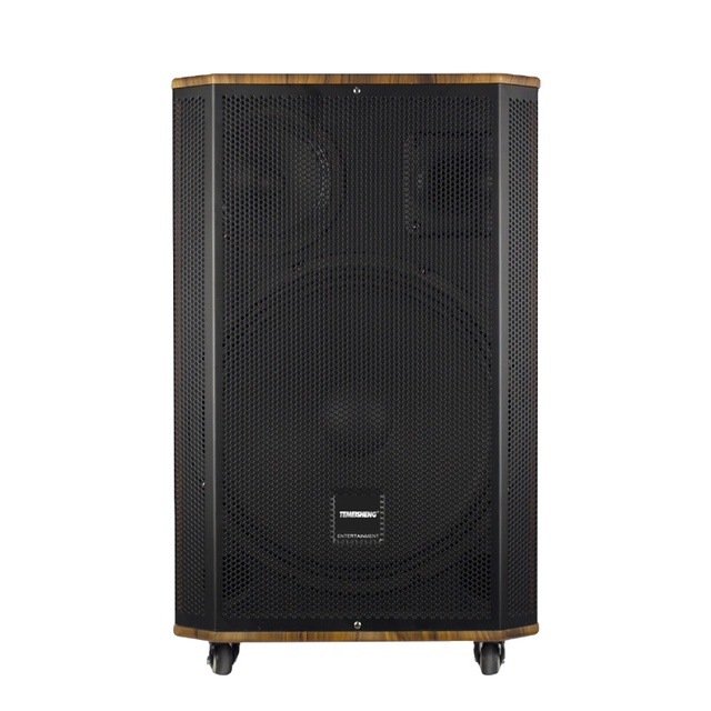 Hot Sale 15 Inch High Power Subwoofer Speaker Professional Outdoor Karaoke Mobile Speaker