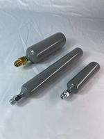 Extincteur à poudre sèche de type cartouche utiliser l'extincteur à poudre sèche de 60g 120g 150g avec cartouche de gaz interne