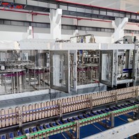 Automatische dranken- en sapvulfabriek 10000BPH 0,5L/500ml PET flesvulfles- en afsluitmachine