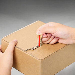 Boîtes d'expédition personnalisées en carton ondulé avec logo, fermeture magnétique, recyclées, gaufrées, forme sur mesure, pour sérum de soin de la peau - Product Image 3