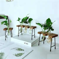 Vase en verre hydroponique minimaliste pour table avec support en bois, vase en verre créatif avec base en bois