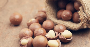 Food Flavoring Certified Factory Highly Concentrated Melised Macadamia Flavour Syrup Flavoured Macadamia <strong>Kernels</strong> Aroma Flavor - Product Image 3