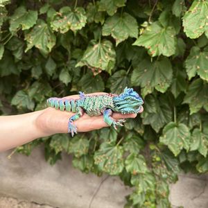 Dragón Barbudo Impreso en 3D con Ojos Simulados SDL22, Articulaciones Móviles, Figura Multicolor Degradado, Juguete Genial para Regalo - Product Image 5