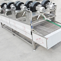 Industriële luchtblaasdroger, transportbandtype ventilatorluchtdroger voor het ontwateren van groenten, fruit en snacks in zakjes
