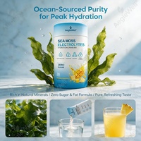 Mélange de Boissons Électrolytiques à la Mousse de Mer Marque Privée OEM, Sans Sucre, Saveur Mangue-Ananas, Sachet Individuel, Poudre d'Hydratation