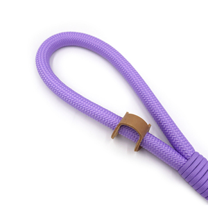 Tendenze imminenti cosa vendere su guinzagli per animali domestici in poliestere tiktok corda guinzagli per cani colorati per cani di grossa taglia per cani pesanti guinzagli per animali domestici - Product Image 6