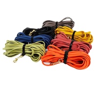 Laisse extérieure anti-casse pour chien, 1 cm, en cuir épaissi, motif réfléchissant, corde d'entraînement pour Labrador et grands chiens, chaîne en P