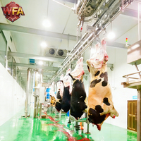 Équipement d'abattage de bétail industriel, machines de transformation de la viande, installation d'abattoir, usine de transformation de la viande bovine industrielle complète