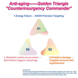 <span class=keywords><strong>2025</strong></span> nuevo diseño salud y belleza antienvejecimiento película de disolución oral piel suave nutracéutico grado suplemento de colágeno a base de hierbas - Product Image 6