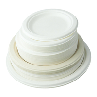 Biologisch afbreekbare 10 inch borden, wegwerpbaar, composteerbaar, van bagasse papier, milieuvriendelijk serviesgoed voor catering, feestjes en afhaalmaaltijden