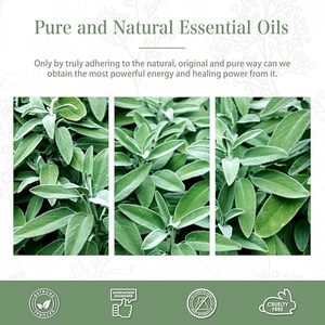 Huile de Sauge Sclarée 100% Naturelle - Huile Essentielle Créez Votre Propre Logo Achetez des Huiles Essentielles pour <span class=keywords><strong>la</strong></span> Fabrication de Bougies, Happy Sage - Product Image 2