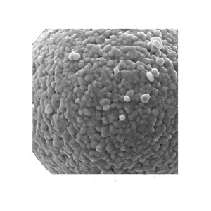 مواد كاثودية عالية الأداء NMC 532 622 811 لبطاريات الليثيوم أيون - Product Image 1