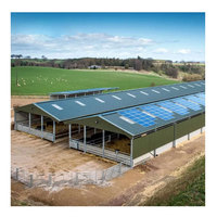 Vente directe d'usine maison de volaille préfabriquée Structure en acier mouton grange élevage hangar