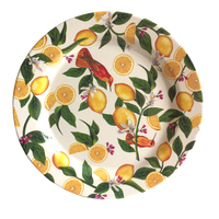 Ensemble de vaisselle en mélamine durable, écologique, non toxique, avec logo personnalisé, pour salade, fruits et dîner, avec assiettes en plastique