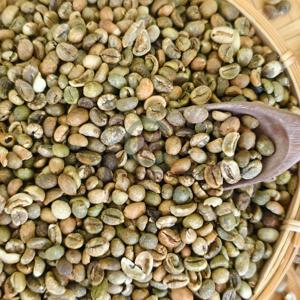 Bolsas a granel de PP 60kg Yute Vietnam Robusta Granos de café verde A Plus 95 a 99% Pureza Ingrediente no adicional - Product Image 1