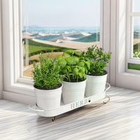 Boîte à fleurs en métal galvanisé pour rebord de fenêtre Ensemble de jardinières à herbes aromatiques Plateau Grand intérieur extérieur Ferme Décoration intérieure Pot à herbes