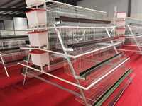 Système de cage à poules automatique à faible entretien pour l'élevage avicole moderne |   Cage à batterie en couches