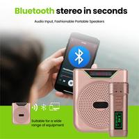 Microphone cravate sans fil UHF rechargeable USB avec haut-parleur pour utilisation en extérieur, réduction du bruit pour discours et enseignement