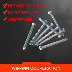 1 1/2 "Beton nagel China Nagel Hersteller Nägel für Beton - Product Image 6