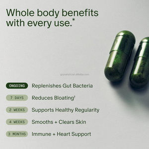 Probiotico prebiotico sinbiotico quotidiano vegano stabile da scaffale per donne uomini supporto immunitario per la salute dell'intestino digestivo - Product Image 4