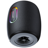 Zealot S64 Mini, Altavoz Portátil Inalámbrico, Columna Impermeable, Sonido HIFI sin Pérdidas, Subwoofer Estéreo, LED RGB
