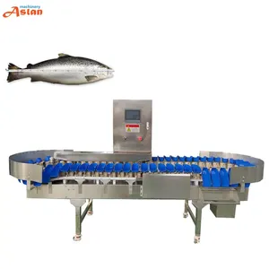 Machine de triage du poisson Frozen, pour lever le thon, le saumon, trieuse, poids Tilapia,