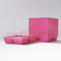 Boîte à charcuterie électrique rose fluo personnalisée, populaire, avec couvercle, pour plats à emporter, pâtisseries, cheesecakes, mini-conteneur
