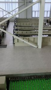 Binnenland Recirculerend Aquacultuursysteem Met Hoge Dichtheid Voor Visteelt Binnenshuis - Product Image 4