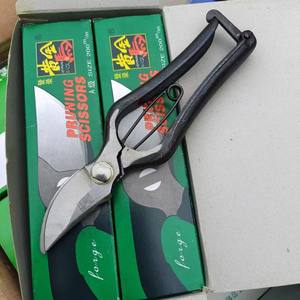 กรรไกรตัดแต่งกิ่ง Golden Horse ขนาด 200 มม. ใบมีดเหล็กคาร์บอน สำหรับทำสวนและตัดแต่งดอกไม้ - Product Image 2