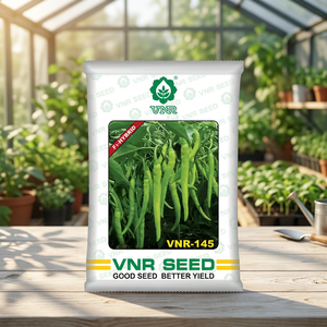 บริษัท วีเอ็นอาร์ ซีดส์ จำกัด เมล็ดพริกไฮบริด VNR-145 F1 (มิร์ชี) ความเผ็ดสูง 7-14 วัน งอกได้ใน 1.2-1.4 วัน สำหรับโรงเรือนเกษตร - Product Image 4