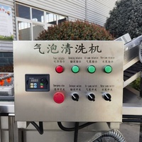 Automatische groente- en fruitwasmachine voor mango's, aardappelen en landbouwproductenfabrieken
