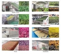 Baja nirkarat PLC Alfalfa plaintain Rumput Timothy Mesh sabuk mesin pengering efisiensi tinggi hemat energi