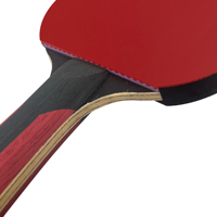Raquette de tennis de table Limba Surface Carbon Blade avec logo personnalisé