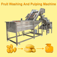 Efficiënte Commerciële Fruitreinigings-En Pulpproductielijn/Volautomatische Fruitreinigings-En Pulpmachine