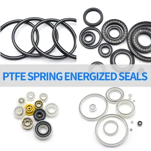Low Starting Performance PTFE Spring PTFE Vari Seal Energized Rod Seal