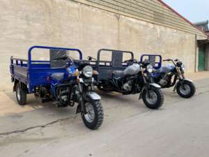 Motocicleta Motorizada <span class=keywords><strong>de</strong></span> Carga para Adultos <span class=keywords><strong>de</strong></span> Tres Ruedas con Motor <span class=keywords><strong>de</strong></span> 250 CC Refrigerado por Agua - Product Image 6
